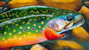 Brookie – 48"x36" Original Size