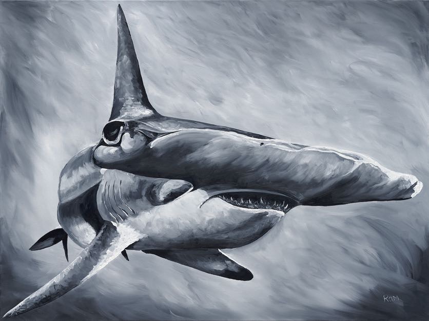 Hammerhead Original Size 48"x36"